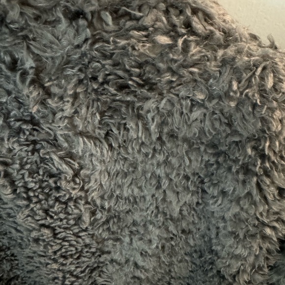 JOIE Teddy bear coat. Grey size L. Adorable!! Worn twice - Picture 5 of 5